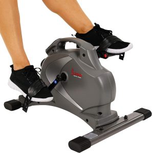 Sunny Health & Fitness SF-B0418 Magnetic Mini Exercise Bike