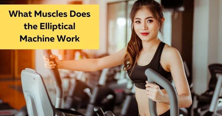 What Muscles Does the Elliptical Machine Work?