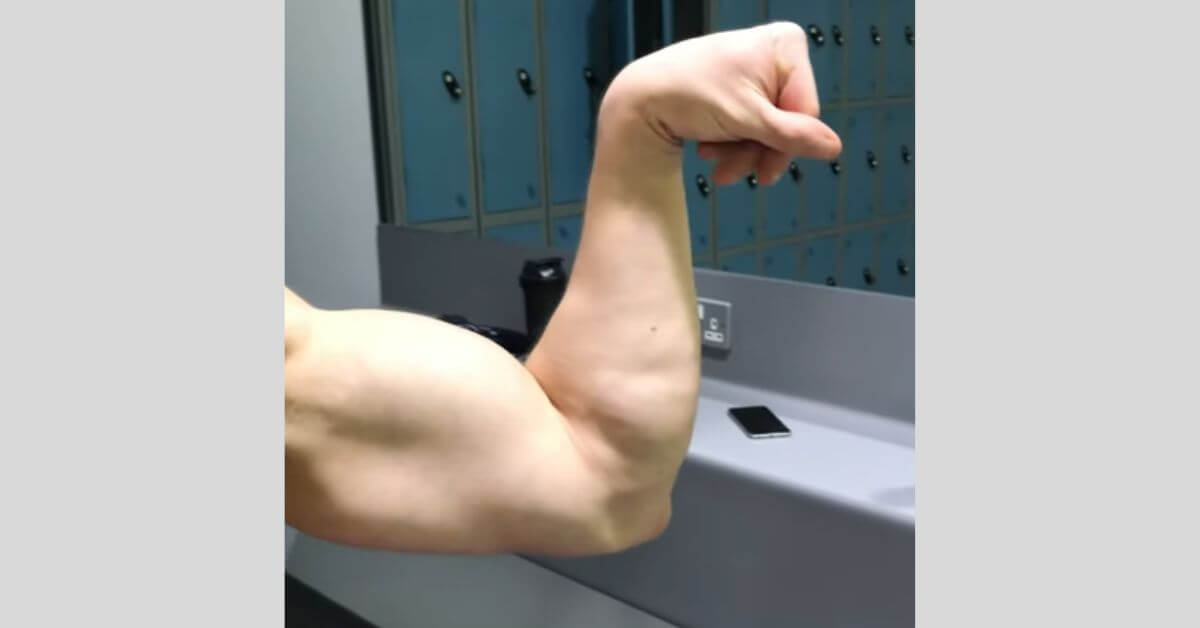 Can I Train Forearms Everyday