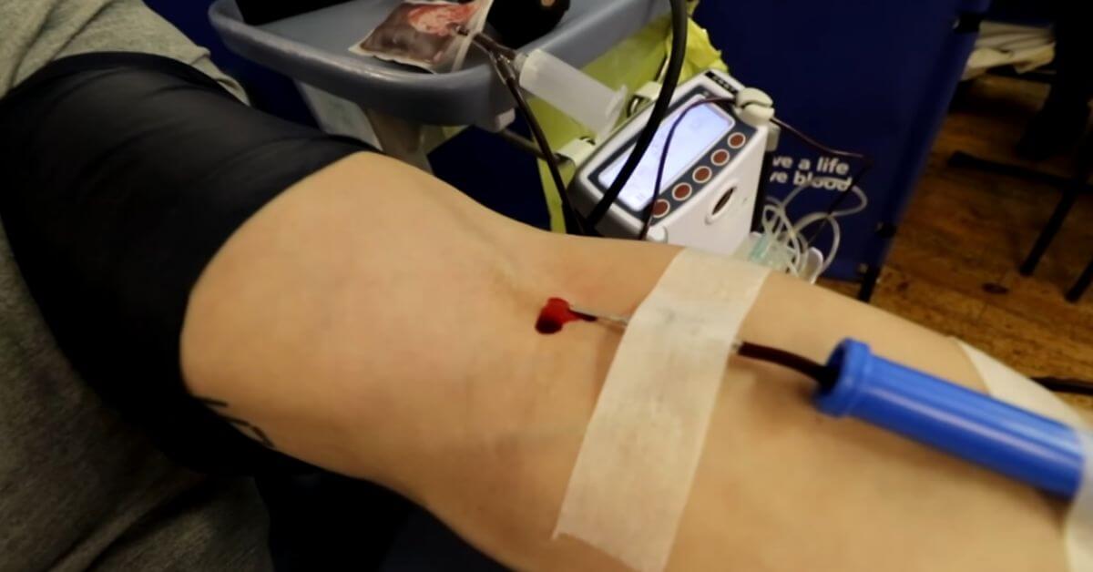 Does Donating Plasma Affect Muscle Growth